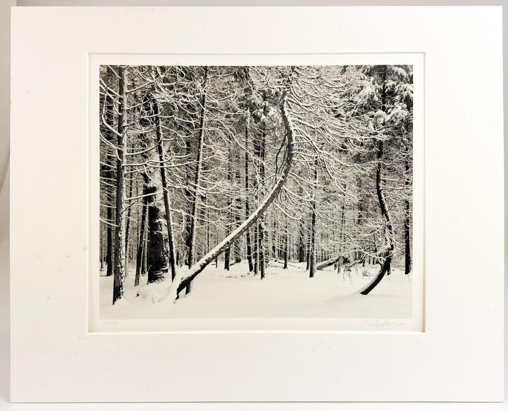 John Sexton (b. 1953) Silver Gelatin Photo Print Listen to the Trees (1 of 5)