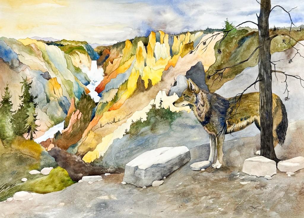 Robert Brown (20th C) Watercolor, Park Ranger Coyote Yellowstone, c. 2001: Park Ranger (Coyote at the Grand Canyon of the Yellowstone), c. 2001, signed lower right "Robert Brown". Approx. 24 1/2 x 33 3/8 in. (paper). Tape residue on top back edge. Provenance: Grants Pancake
