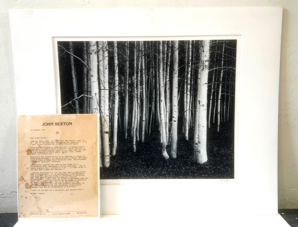 John Sexton (b. 1953) Signed Photograph Aspens, Dusk, Conway Summit, California, 1978 (1 of 12)