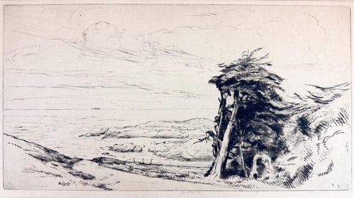 Ernest Haskell (1876-1925) Drypoint on Paper, The Sweep of the Pacific, 1919