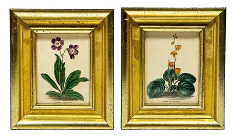 Two Vintage Miniature Framed Botanical Prints