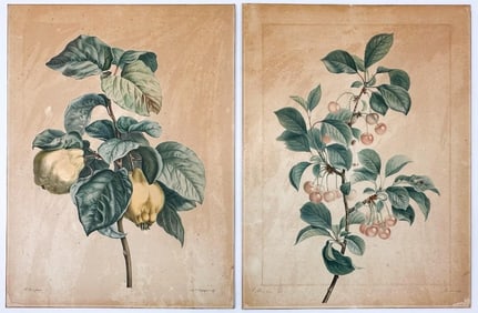 Lot of 2 Prints from the Portfolio of Charles A. Lesueuer (1778-1846)