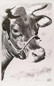 Andy Warhol Cow Poster, La Biennale Venezia Italy 1976