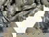 item-210756619=6