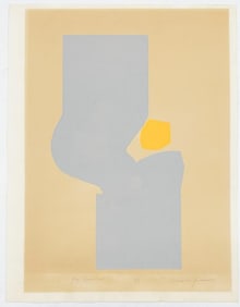 Daniela Quinn (20th Century) Lithograph Grey Receiver 1970