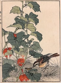 Imao Keinen (1845-1924) Woodblock on Paper, Chinese Lantern Plant, Meadow Bunting