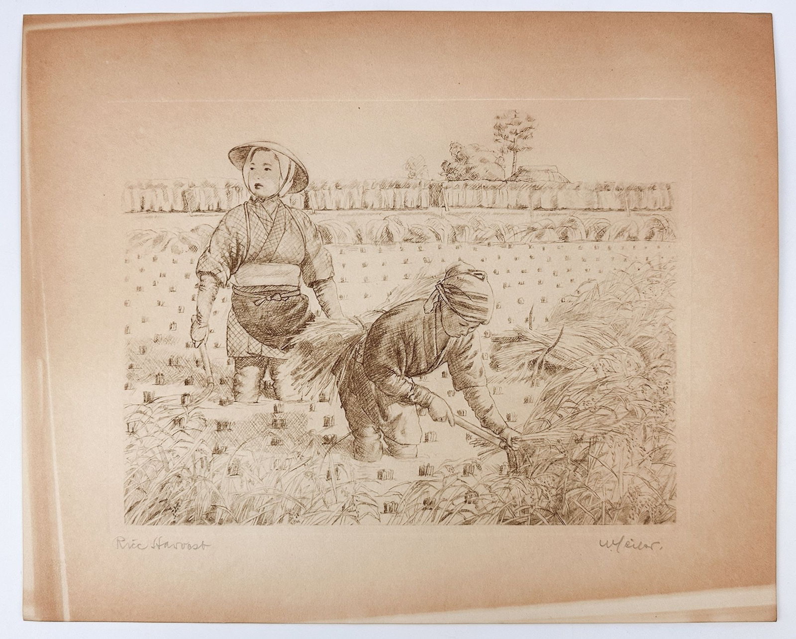 Willy Seiler (1903-1997) Etching On Paper, Rice Harvest (1 of 4)
