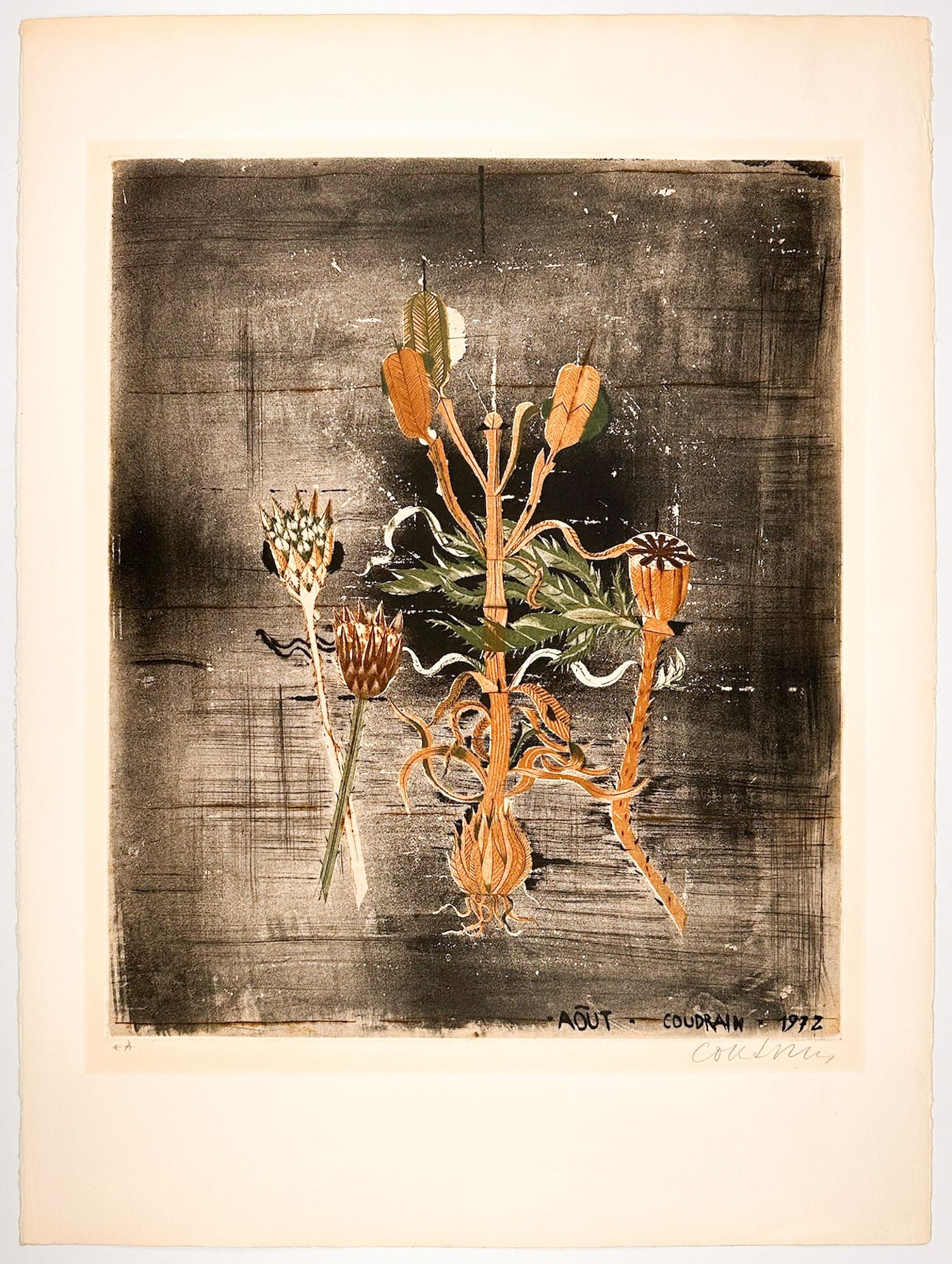 Brigitte Coudrain (b. 1934) Etching on Paper, Aout, 1972, Artists Proof: Titled Aout, artists proof. Pencil signed in the lower right corner of the print. Depicts a bouquet of floral elements. Approximately 19.5 in H x 15 in W. Total weight is approximately 1 lbs.