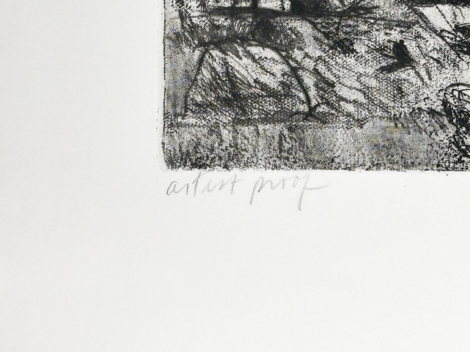 Linda Plotkin (b. 1938) Signed Artist Proof Etching Print, Costa Secca - 2