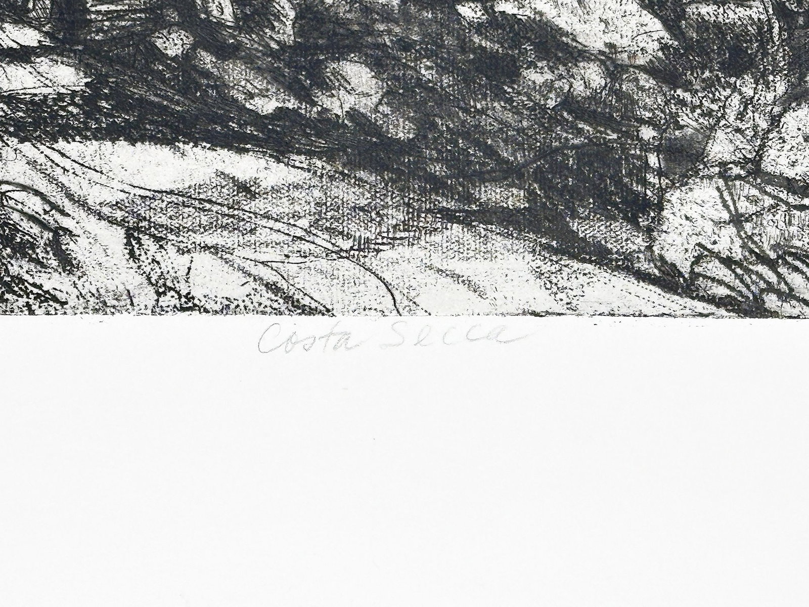 Linda Plotkin (b. 1938) Signed Artist Proof Etching Print, Costa Secca - 3