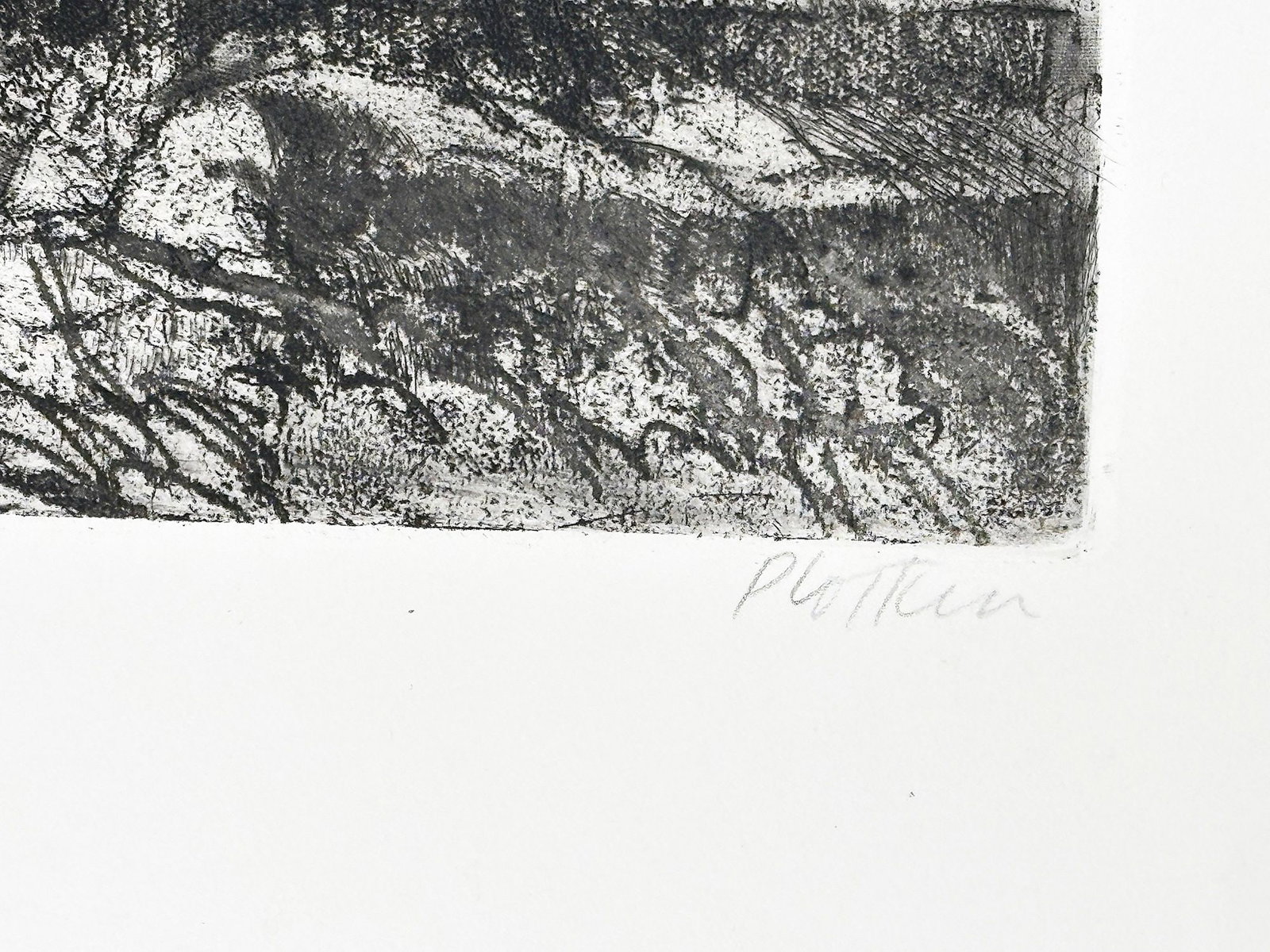 Linda Plotkin (b. 1938) Signed Artist Proof Etching Print, Costa Secca - 4