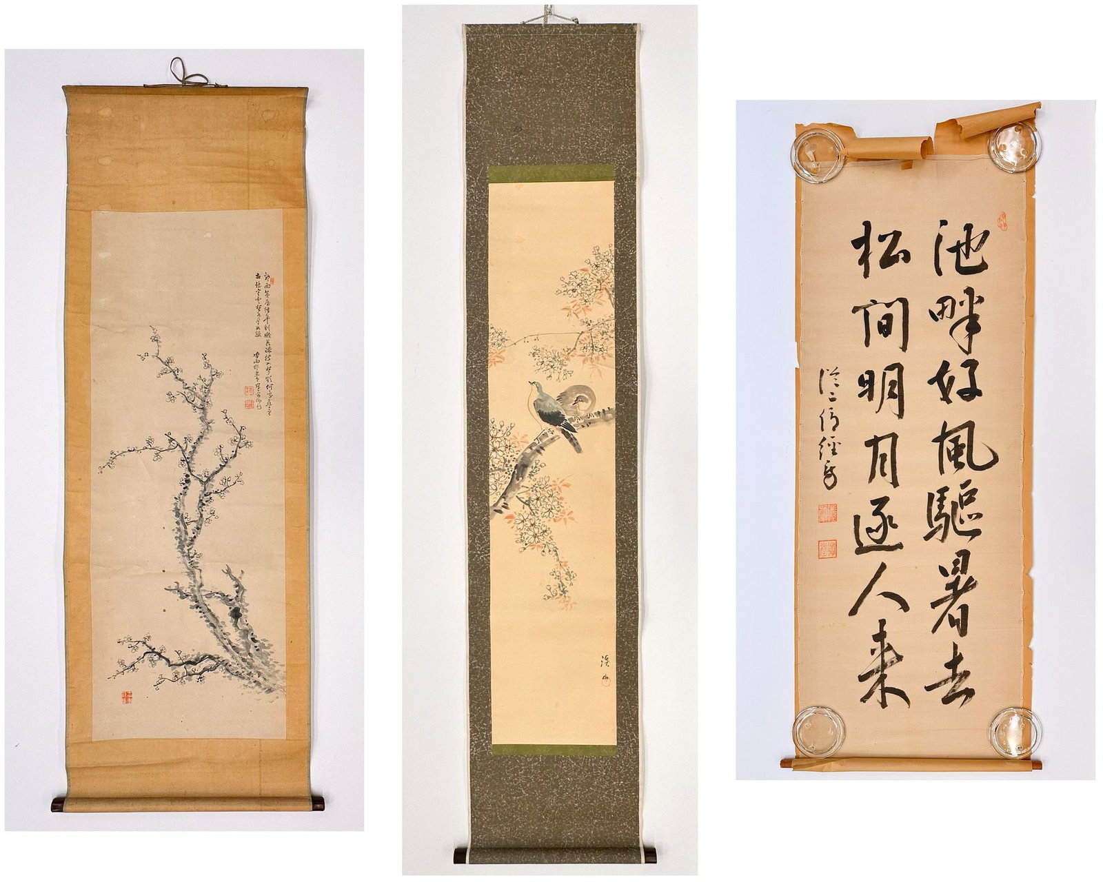 Lot Of Three East Asian Scrolls Including Plum Blossom Painting, Kacho-Ga, And Semi-Cursive (1 of 9)
