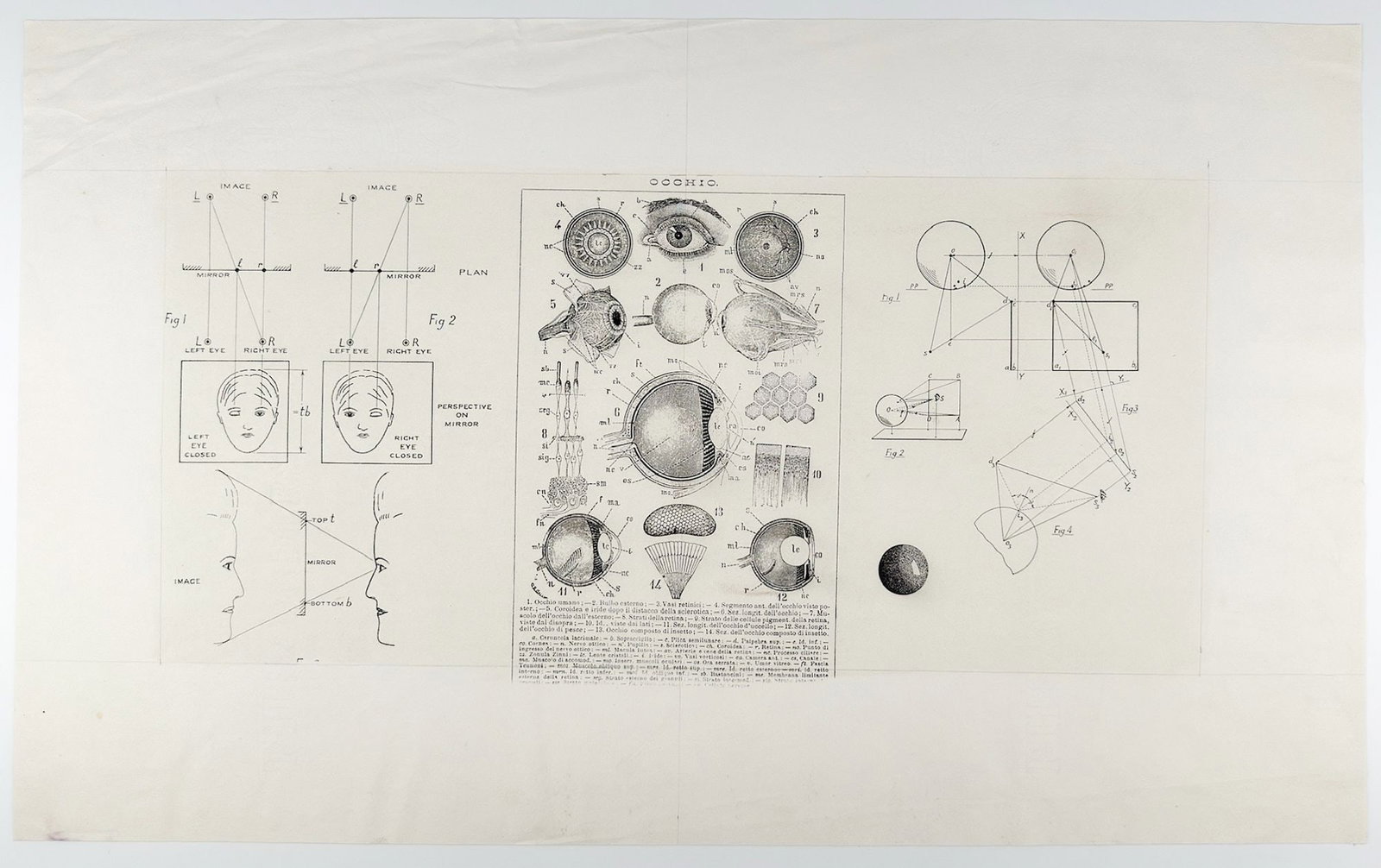 Medical Eye Diagram Platinum Photographic Print on Paper, Occhio (1 of 5)