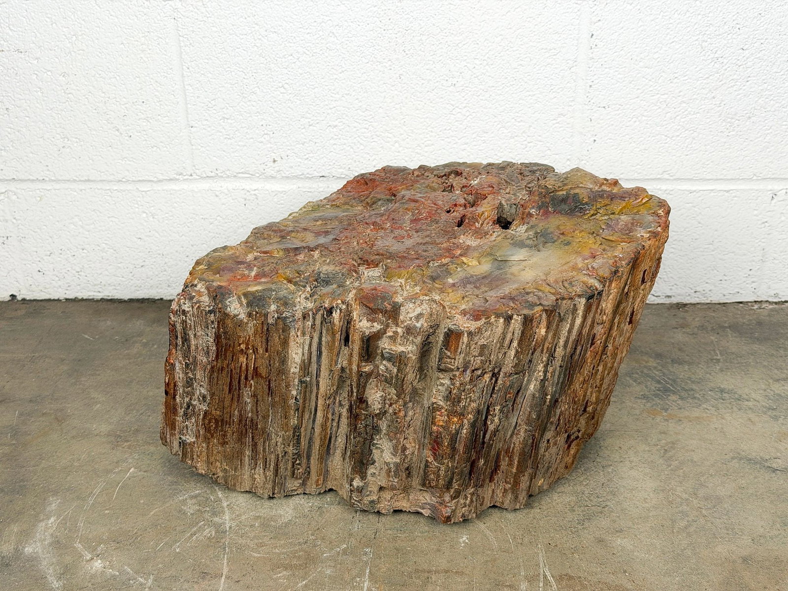 Large Petrified Wood Log Slab Fossil 10 Inches High: Red, brown and gray earth tone hues. Dimensions: Petrified wood is approx. 10 in H x 18 in W x 14 in D. Weighs 96 lbs 11 oz. LOCAL PICK UP INFORMATION: Wednesday, July 8, 10:00 AM - 2:00 PM 8059 Footh
