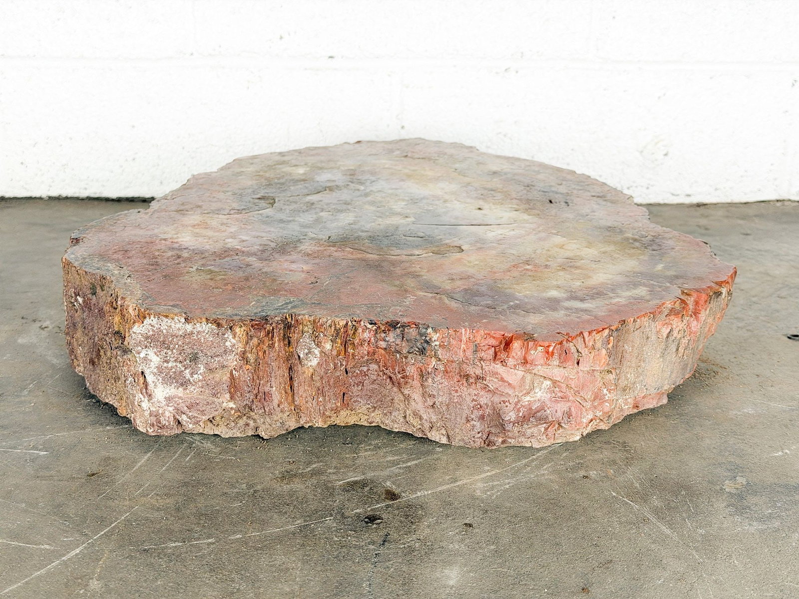 Large Petrified Wood Log Slab 3.5 Inches High: Red, brown and gray earth tone hues. Dimensions: Petrified wood is approx. 3.5 in H x 18.5 in W x 18 in D. Weighs 66 lbs 13 oz. LOCAL PICK UP INFORMATION: Wednesday, July 8, 10:00 AM - 2:00 PM 8059 Fo