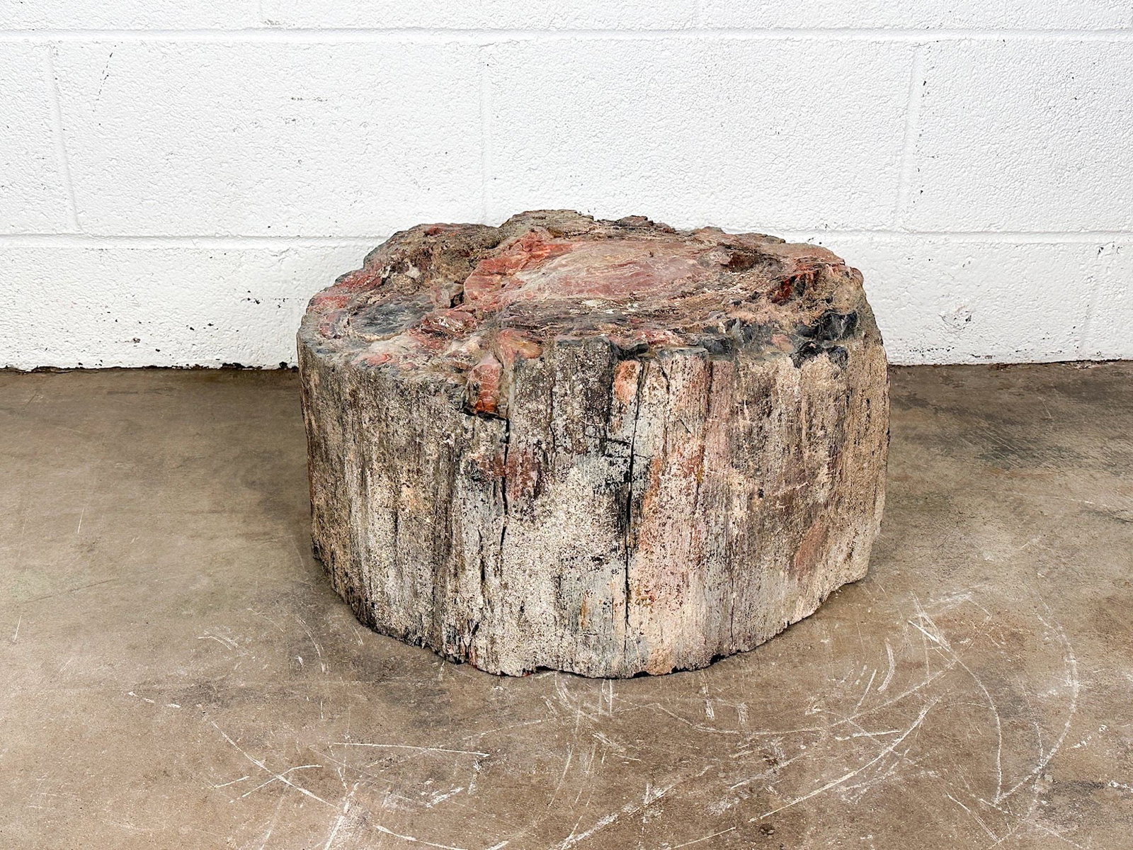 Large Petrified Wood Log Slab 11 Inches High: Red, brown and gray earth tone hues. Dimensions: Petrified wood is approx. 11 in H x 19 in W x 15.5 in D. Weighs 184 lbs 1 oz. LOCAL PICK UP INFORMATION: Wednesday, July 8, 10:00 AM - 2:00 PM 8059 Foo