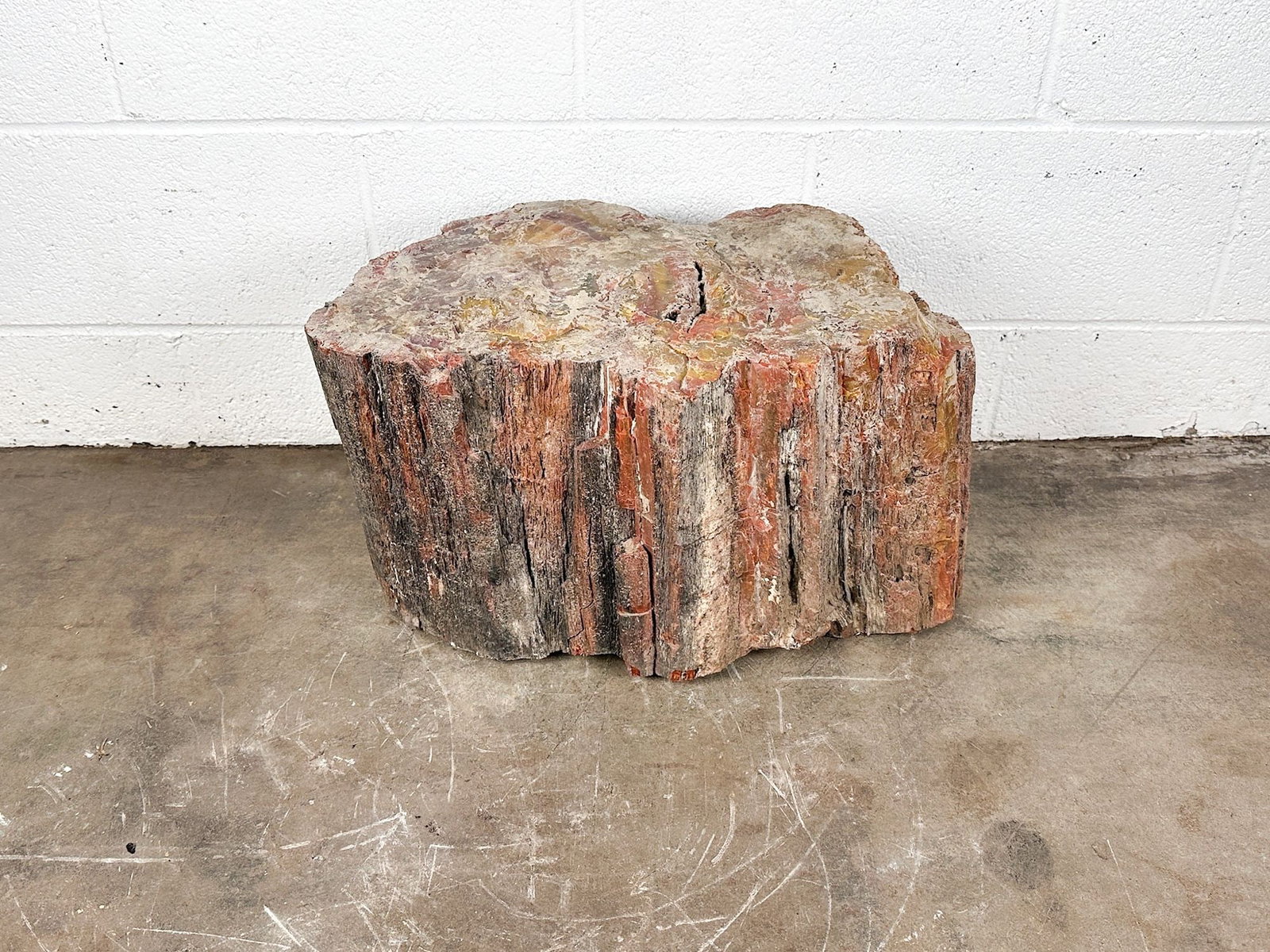 Large 1 ft Petrified Wood Log Slab Mineral Fossil: Red, brown and gray earth tone hues. Dimensions: Petrified wood is approx. 12 in H x 20 in W x 13 in D. Weighs 184 lbs 10 oz. LOCAL PICK UP INFORMATION: Wednesday, July 8, 10:00 AM - 2:00 PM 8059 Foot