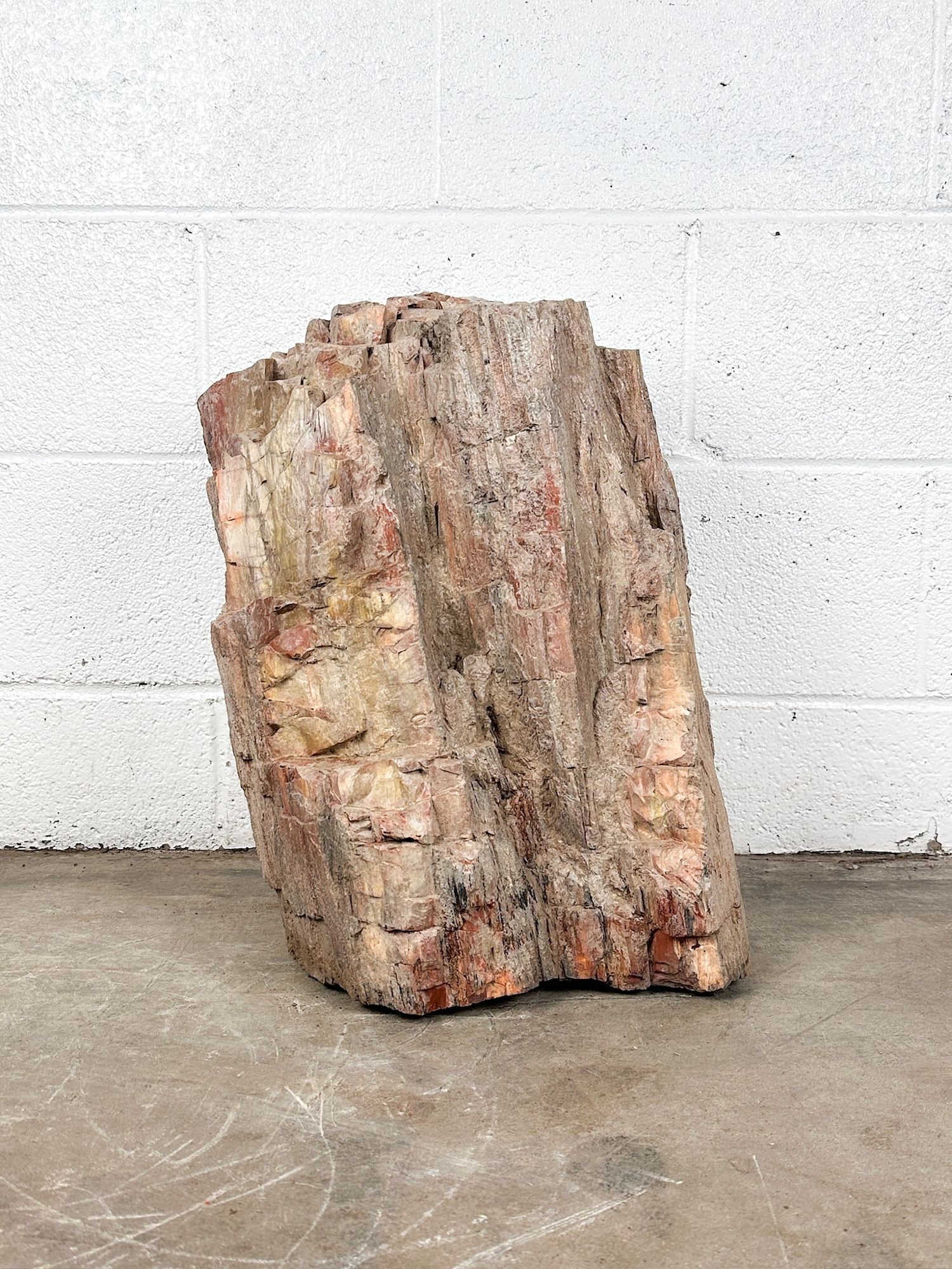 Large Petrified Wood Log Fossil 18.5 Inches High: Red, brown and gray earth tone hues. Dimensions: Petrified wood is approx. 18.5 in H x 13 in W x 13 in D. Weighs 136 lbs 2 oz. LOCAL PICK UP INFORMATION: Wednesday, July 8, 10:00 AM - 2:00 PM 8059 Foo