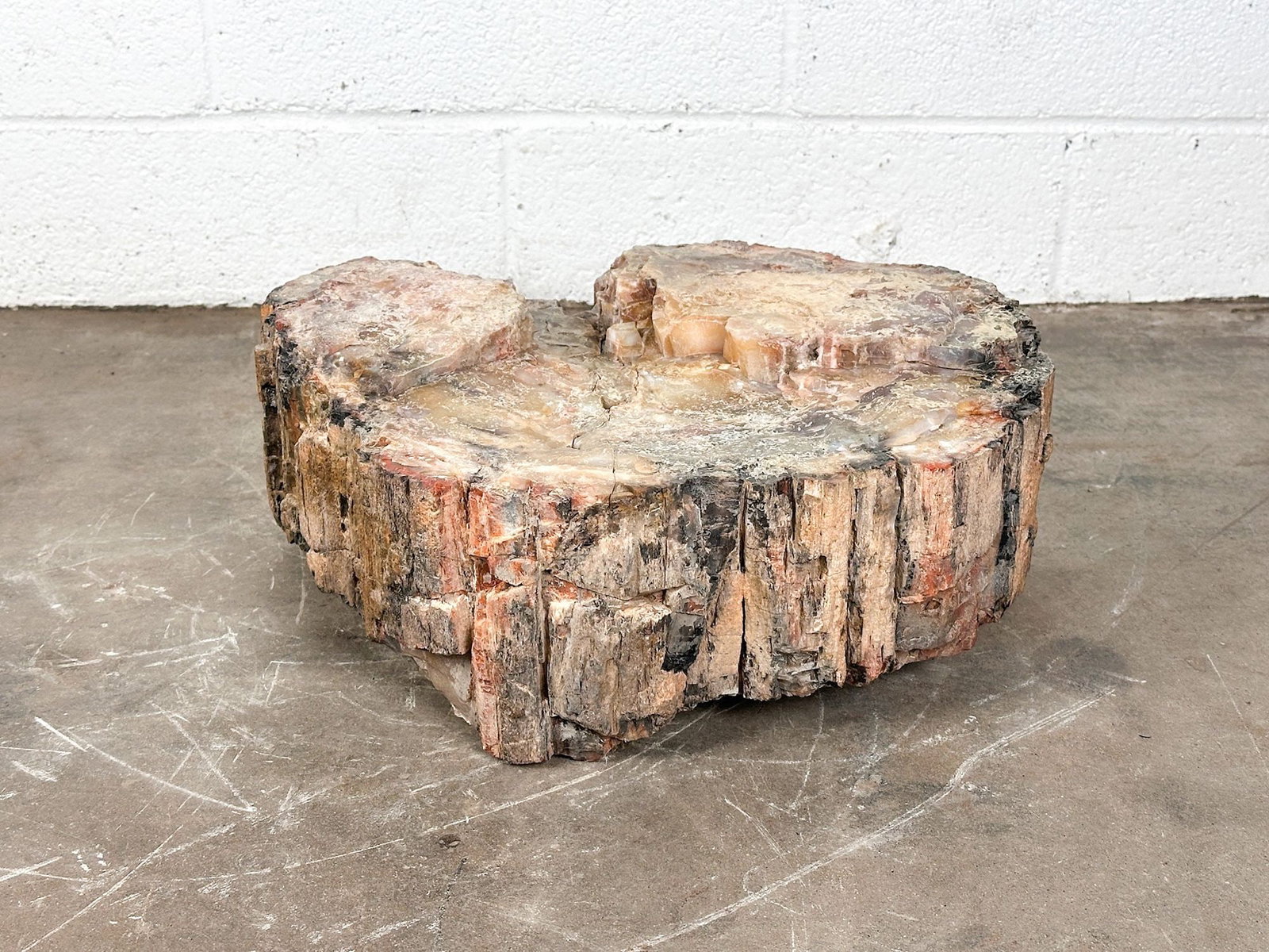 Large Petrified Wood Log Slab: Red, brown and gray earth tone hues. Dimensions: Petrified wood is approx. 6.25 in H x 14 in W x 15 in D. Weighs 79 lbs 11 oz. LOCAL PICK UP INFORMATION: Wednesday, July 8, 10:00 AM - 2:00 PM 8059 Foo
