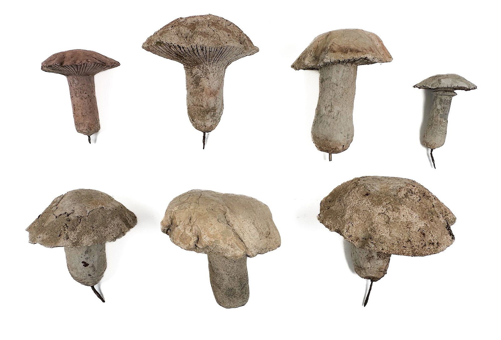 Group of 7 Cast Concrete Mushroom Garden Statues, 10 to 15 Inches Tall: Nice collection of concrete mushrooms for a garden. Textured on underside. Dimensions: Sizes range approx. 10 to 15 in H x 6 to 12 in Dia. Overall weight: 125 lbs. LOCAL PICK UP INFORMATION