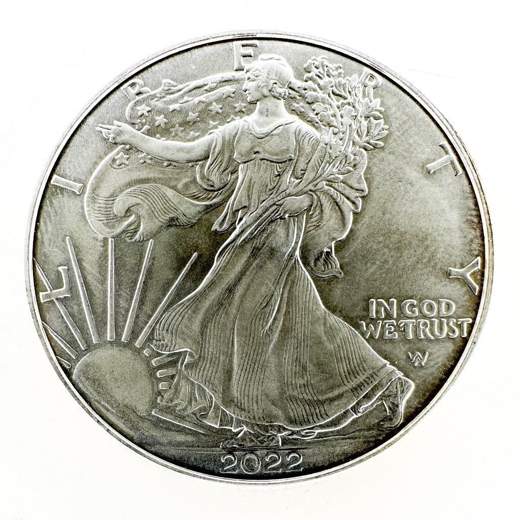 2022 American Silver Eagle (1 of 2)