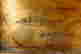 item-136865323=5