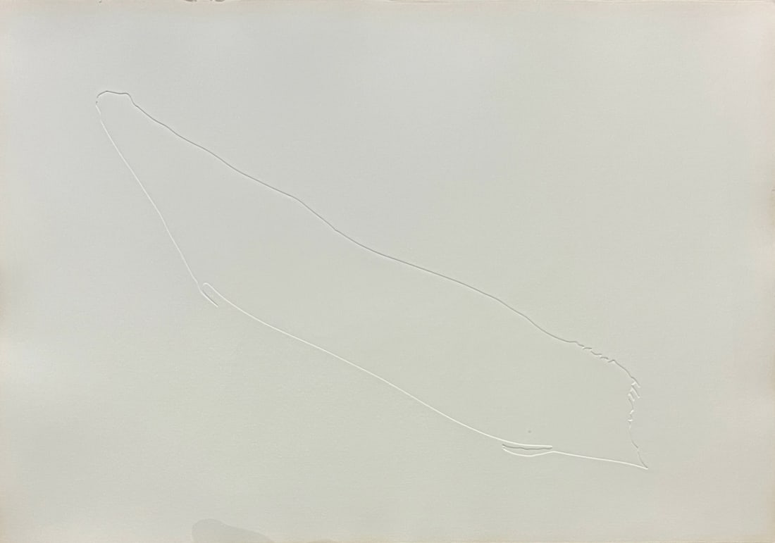 Kerim SEILER (1974) (1 of 2)