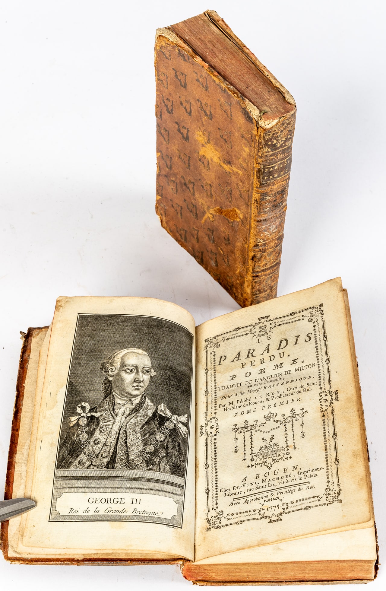 LE PARADIS PERDU (1 of 1)