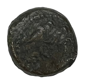 Antiochus IX Eusebes, Philopator AE 18