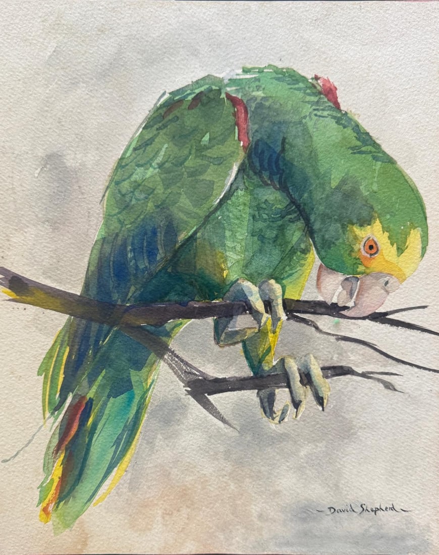 David Shepherd, Watercolor on paper. (1 of 3)
