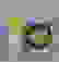 item-56111502=5