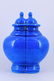 Blue Floral Porcelain Vase with Lid Ming Period