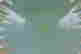 item-131276402=2
