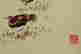 item-131276482=7
