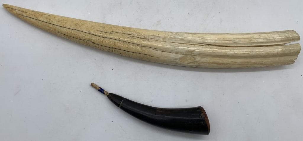 powder horn and tusk: tusk has cracks
