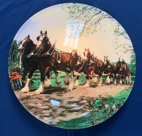 Clydesdale Light Up Plastic Light