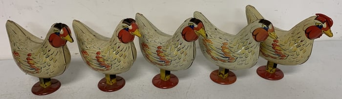 5 Wyandotte Laying Chickens