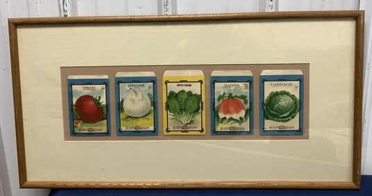 framed display of  5 Burt's Seed Packs
