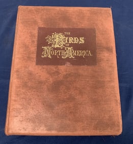 1903 Birds of North America
