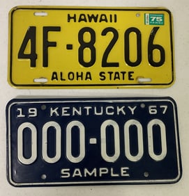 Hawaii license plate & Kentucky sample plate