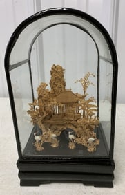 Chinese corkwood display