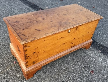 Dovetailed Blanket chest with till and drawers