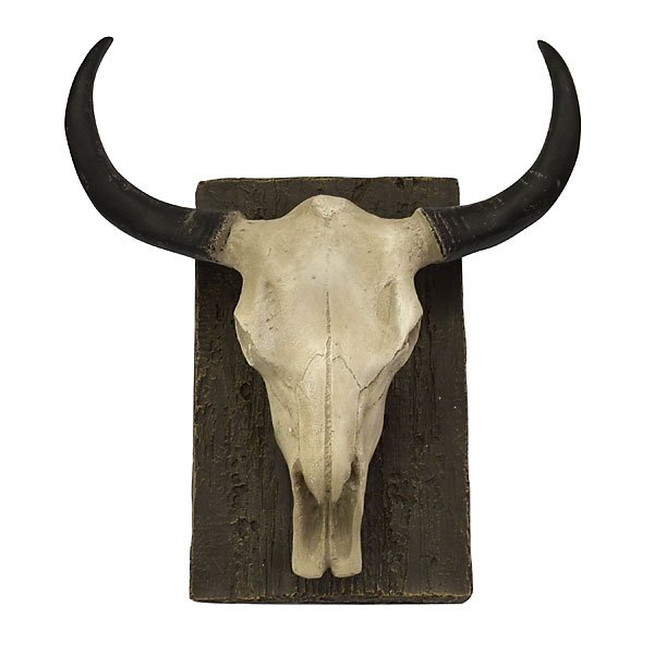 Steer Skull - Wall Mount (1 of 1)