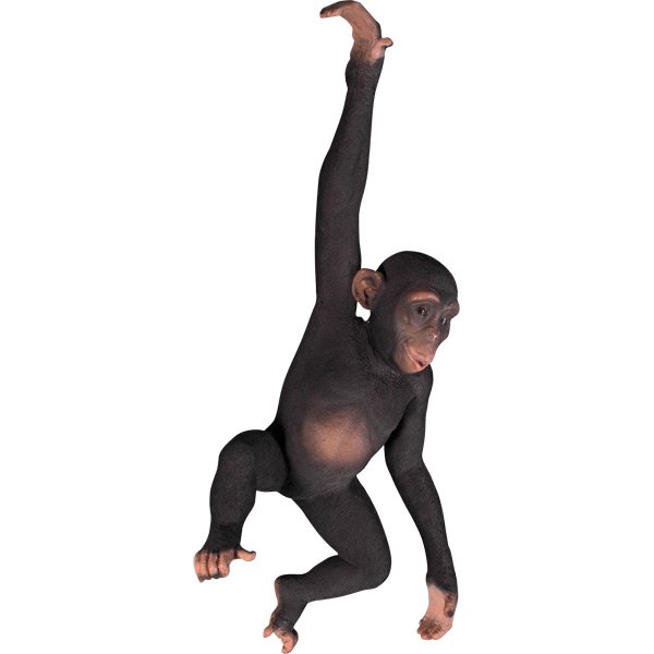 JB Hanging Monkey: JB Hanging Monkey 17.5W X 12D X 38H