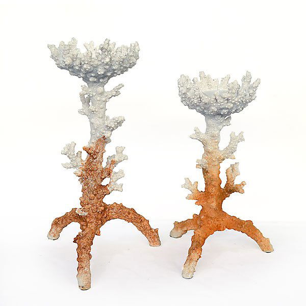 Coral Candleholders - Set of 2          FREE SHIPPING (1 of 1)