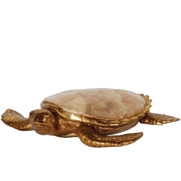 Golden Capiz Turtle          FREE SHIPPING (1 of 1)