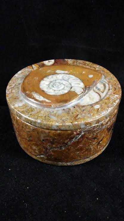 MOROCCO FOSSIL AMMONITE JEWELRY BOX PREHISTORIC (1 of 4)