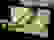 item-80488625=2