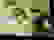 item-80488625=3