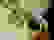 item-80488625=7